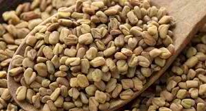 FENU SEED