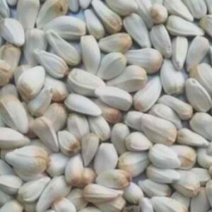 SUNFLOWER SEED